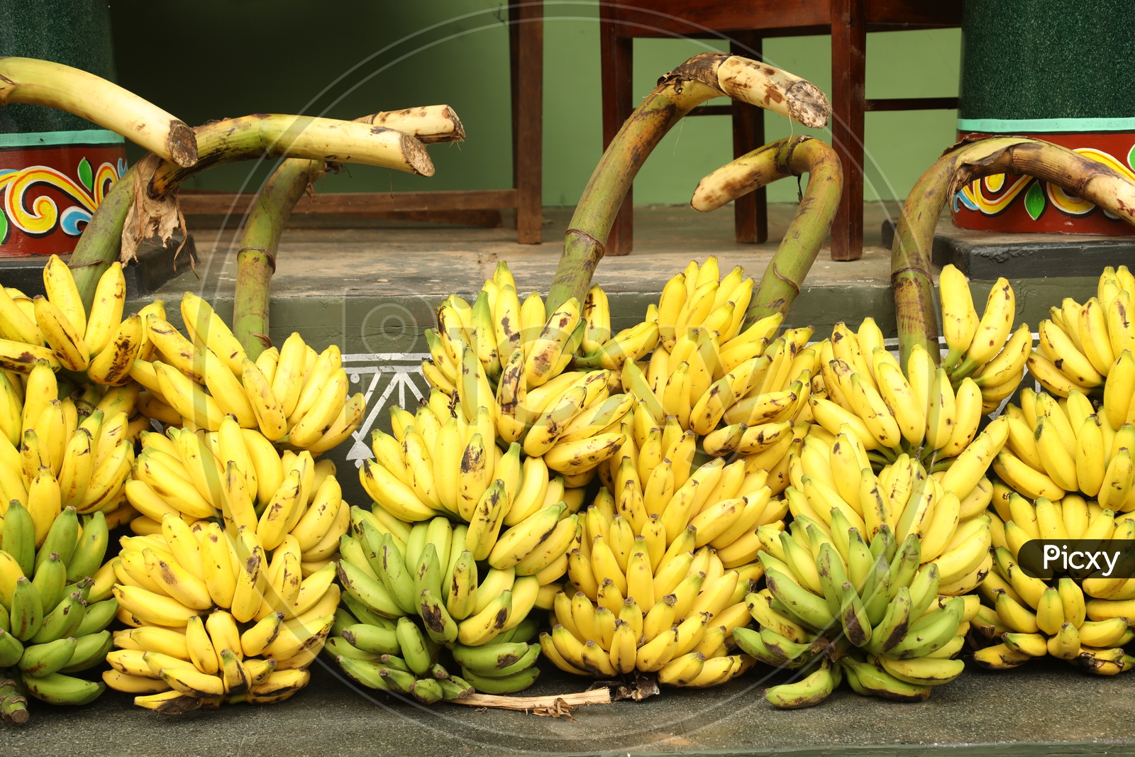 Bunches of bananas at Village house