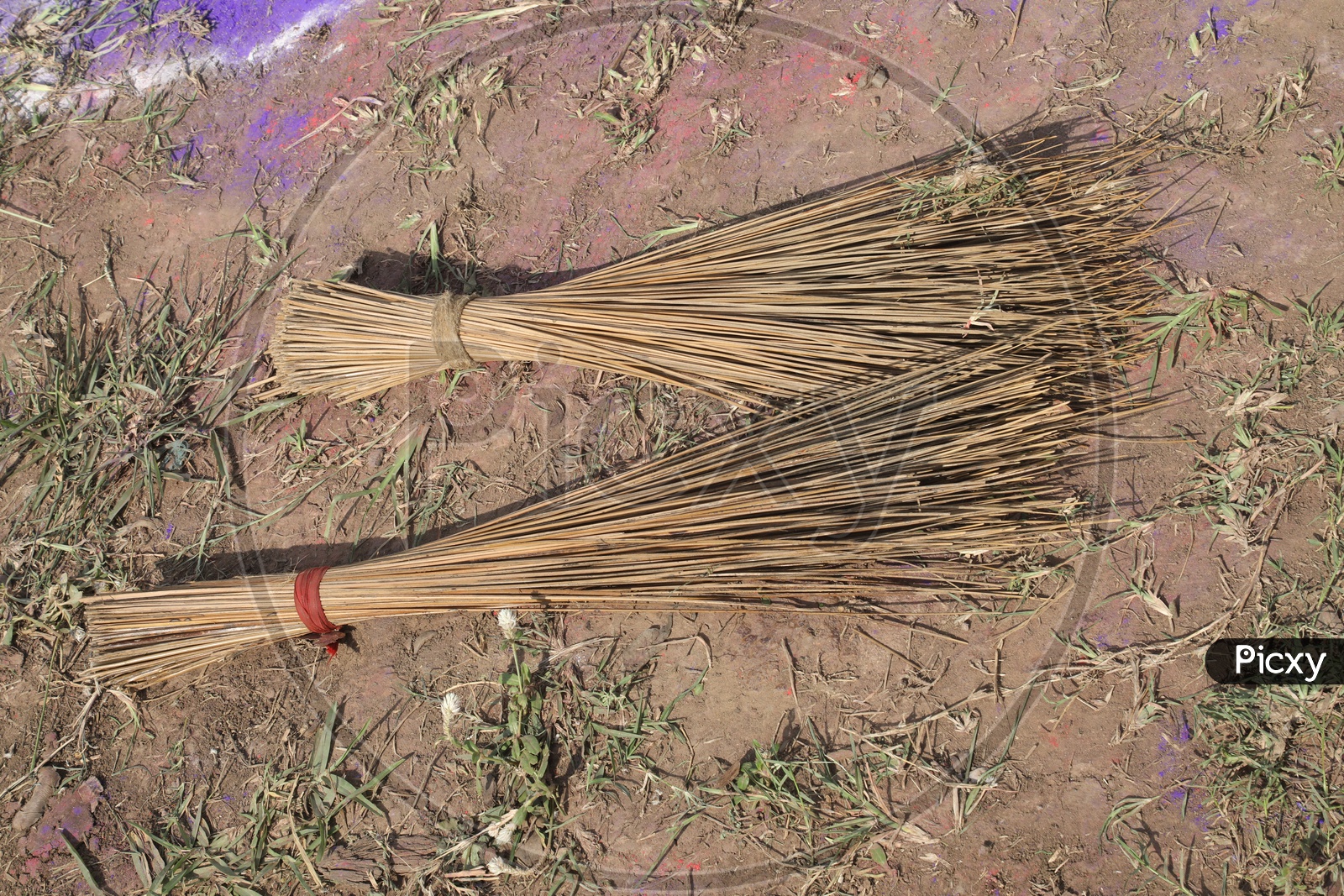 Broom Stick Made of Dried Coconut  Leafs in Rural Villages