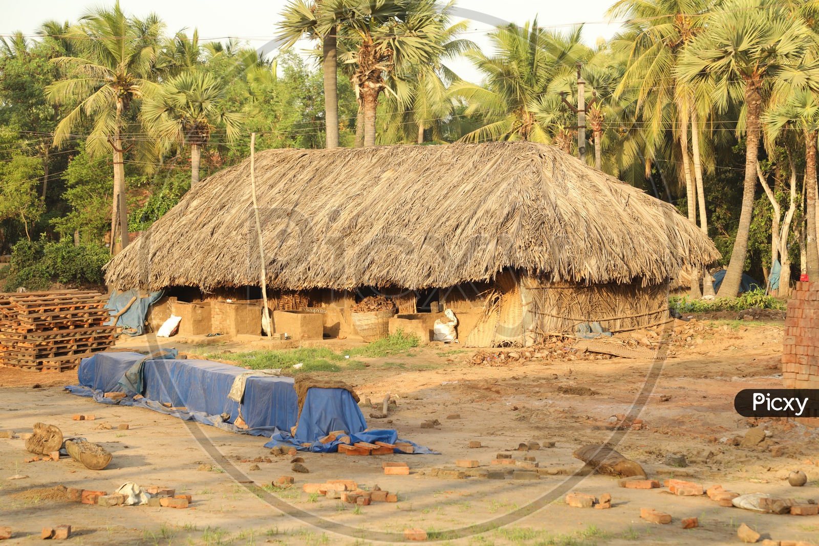 Thatched Huts In Rural Villages in India