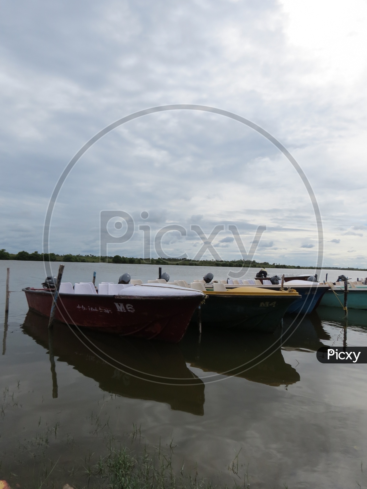 Tourist Boats in Pichavaram Mangrove Forest