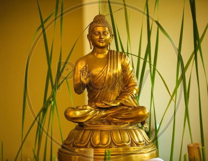 Beautiful Photograph of lord buddha idol