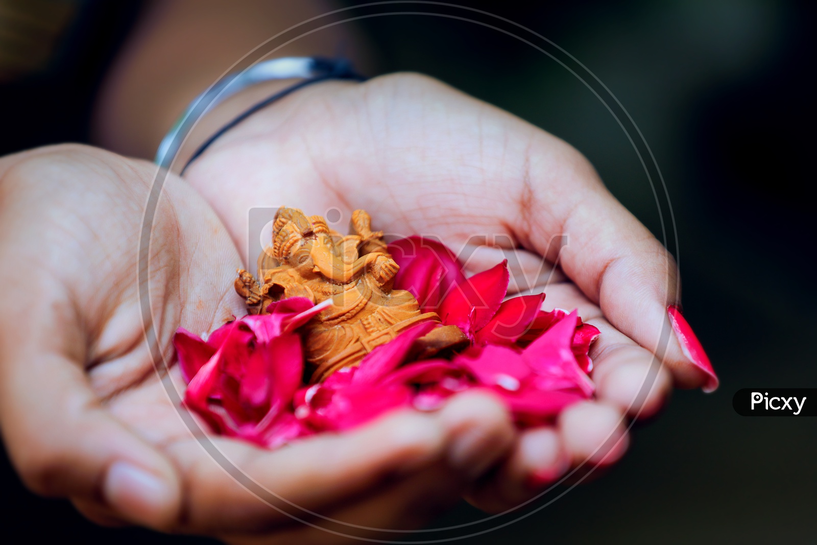 Ganesh Idol placed in hands with  beautiful flowers