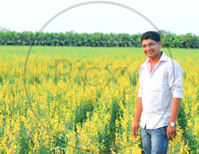 Indian Young Man In a Pigeon Pea Farming Field