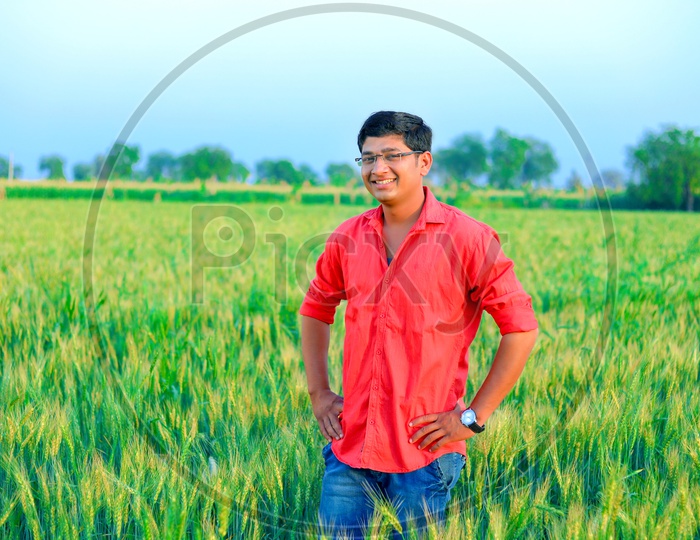 Indian Young Man In a Wheat  Farming Field