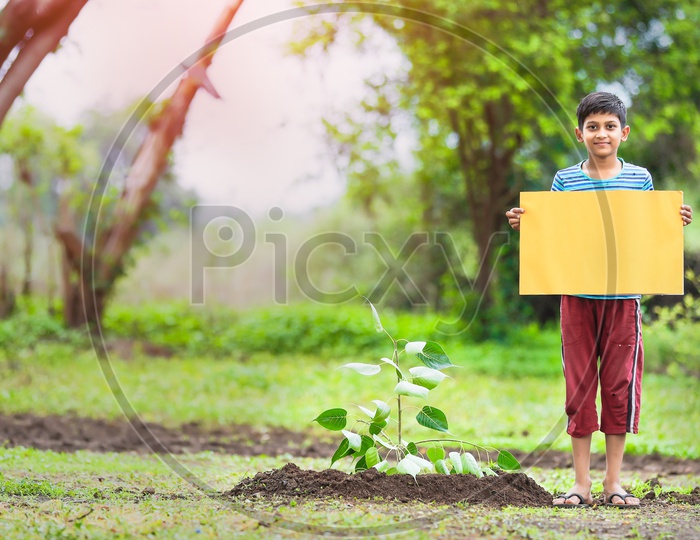Indian Boy Showing an Empty Placard With a Smile  on Face near a Newly Planted Plant