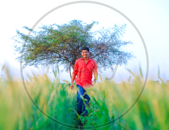 Indian Young Man In a Wheat  Farming Field