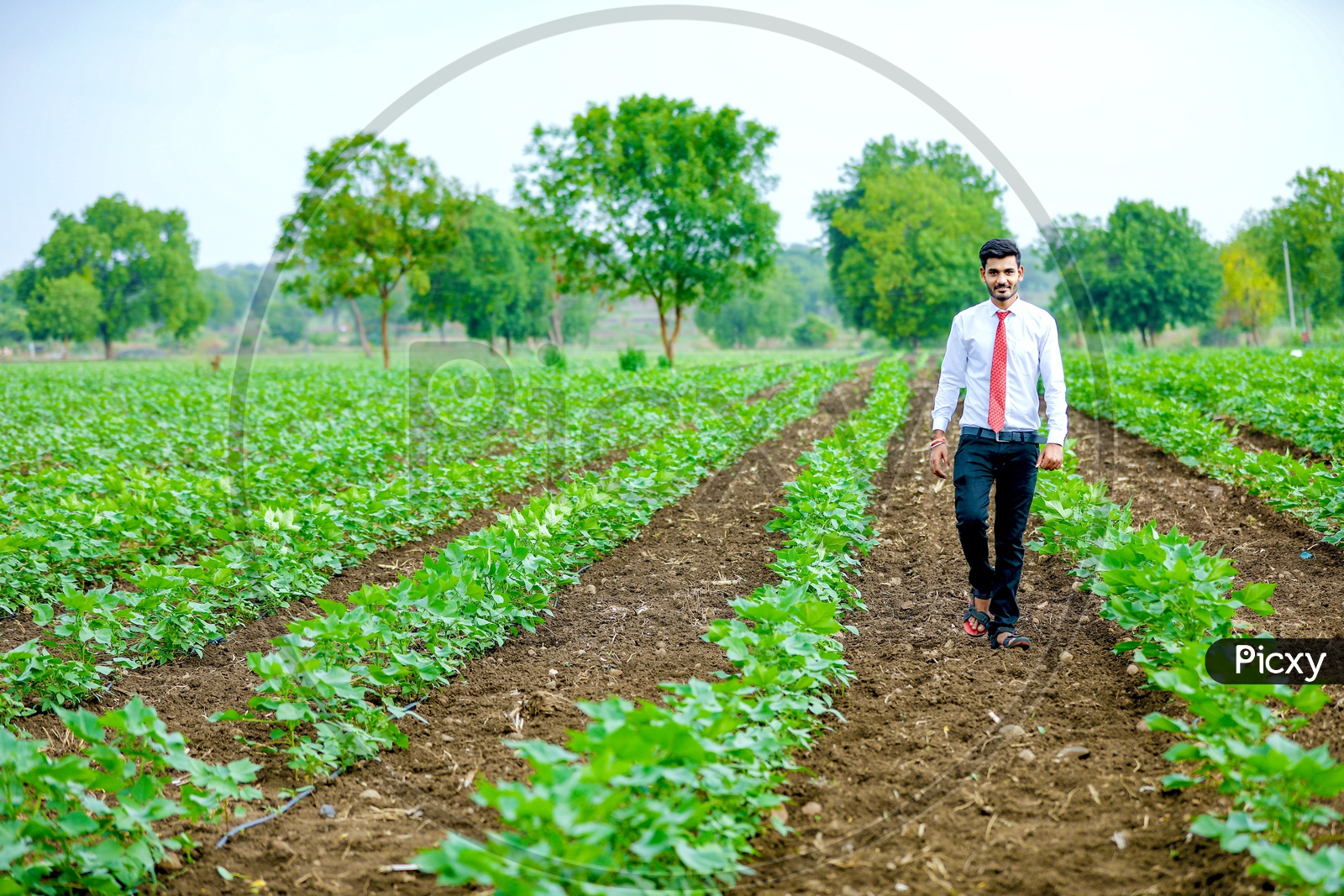A Young Professional In Agricultural Field With an Expression