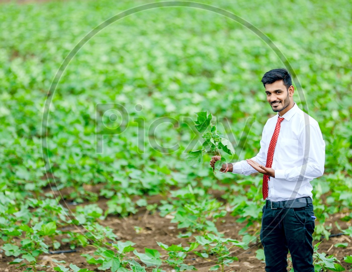 Indian Young Professional in Agricultural Fields