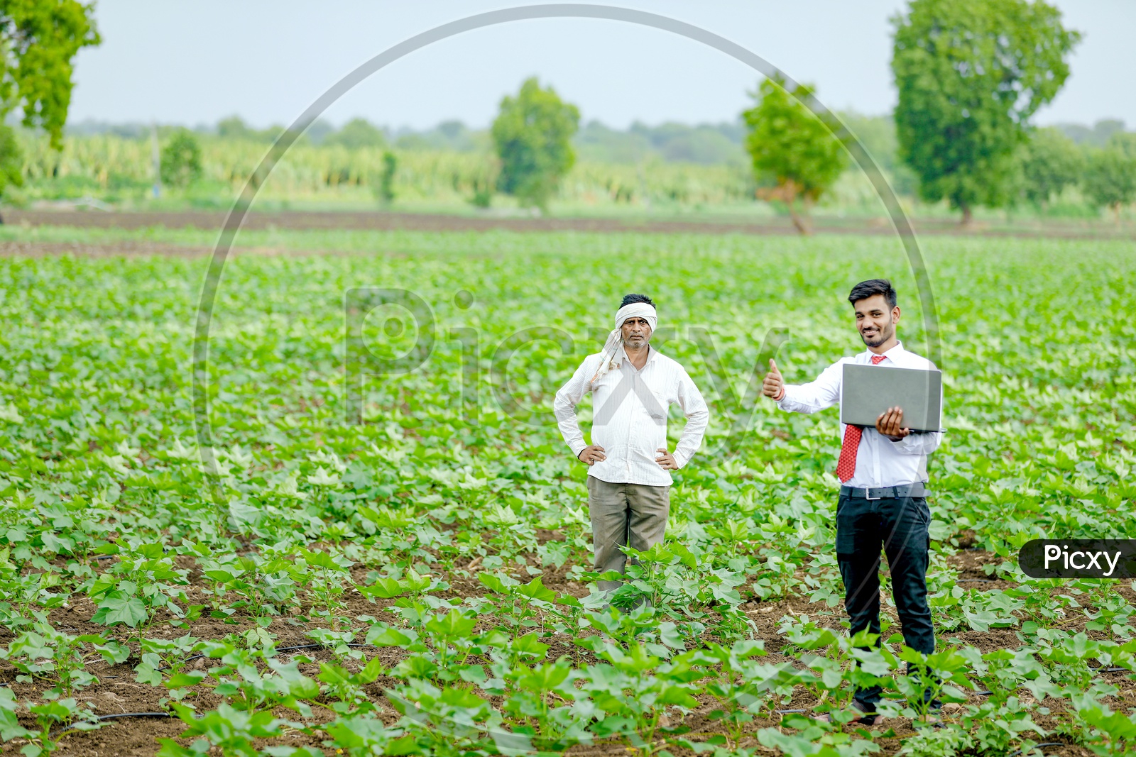 Indian Young Professional in Agricultural Field operating Laptop With Farmer