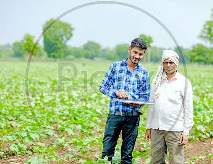 Indian Young Professional Man In Cotton Field with a laptop in Hand along With Farmer