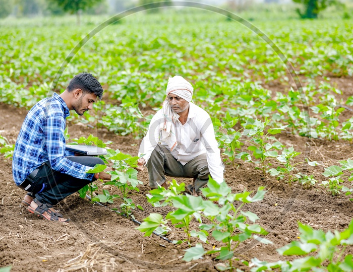 Indian Young Professional in Agricultural Field  With Farmer