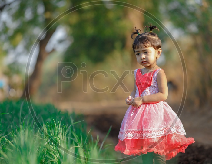 Indian Cute Girl Child Wearing Frock Playing in Paddy Fields