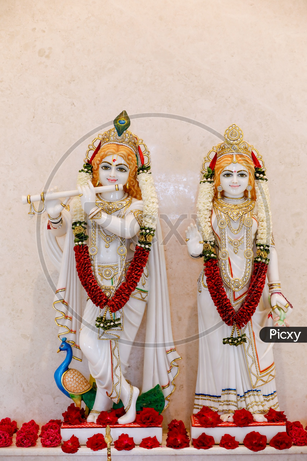 Radha Sri Krishna Idol with white background