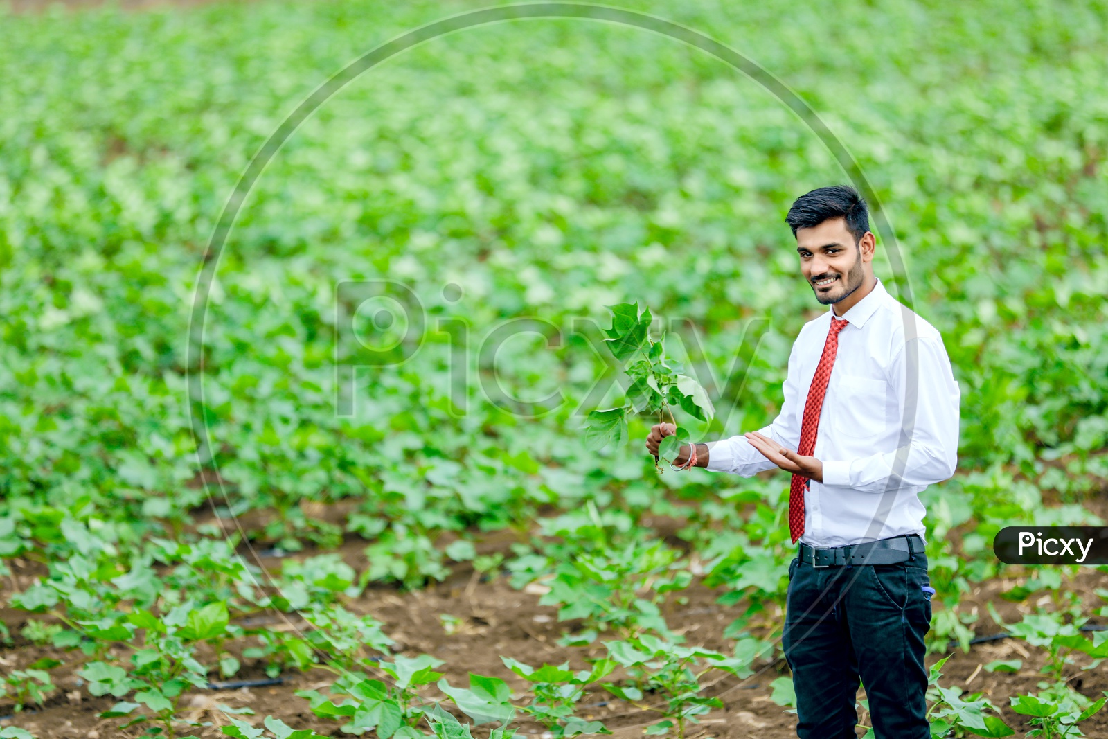 Indian Young Professional in Agricultural Fields