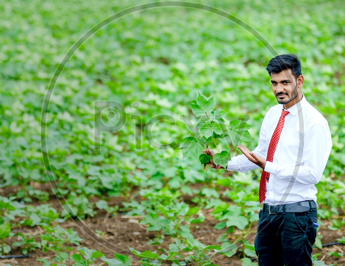 A Young Professional In Agricultural Field Holding Plant With an Expression