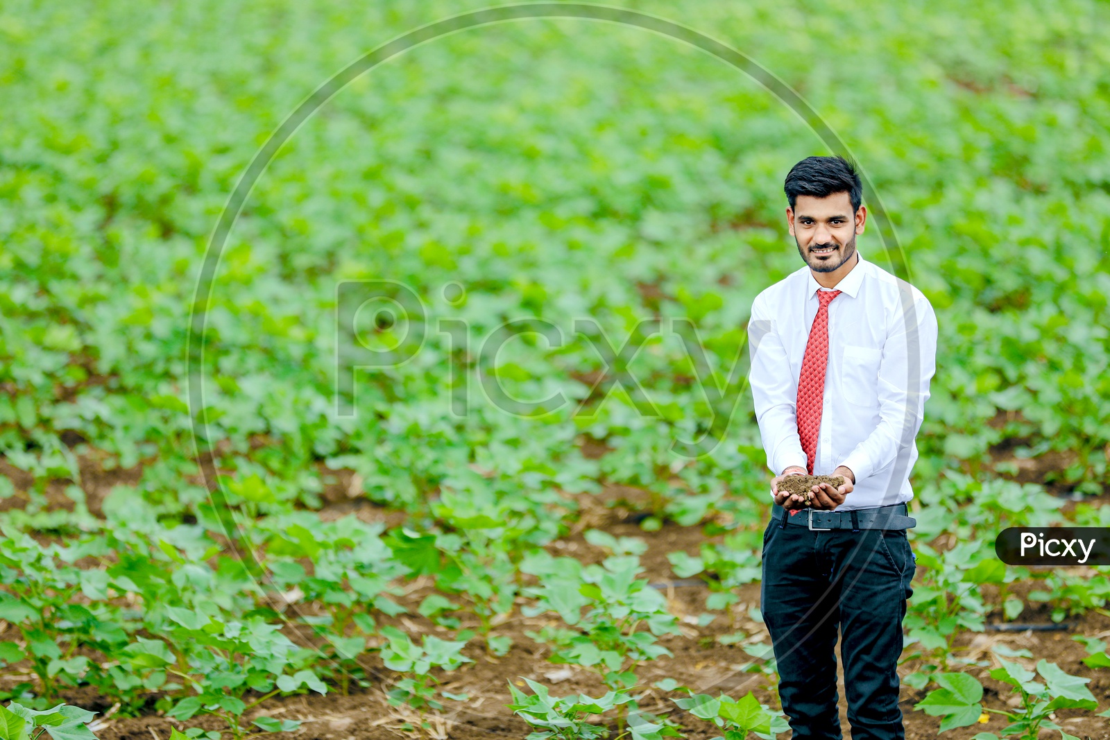 A Young Professional In Agricultural Field With Soil in Hand
