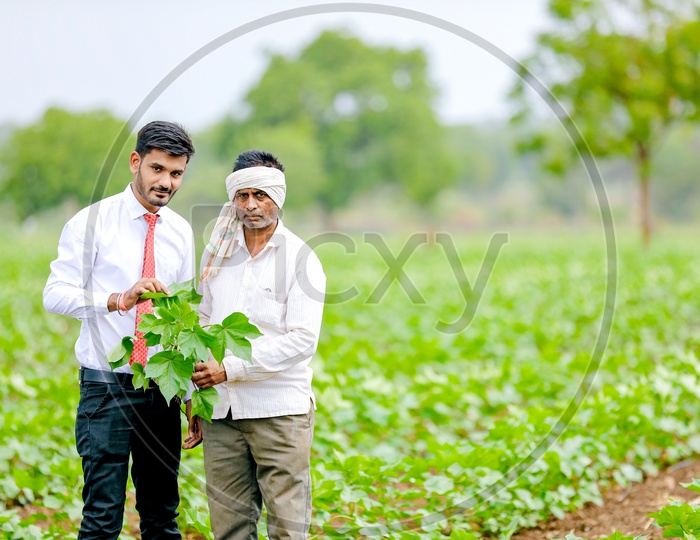 Indian Young Professional in Agricultural Field  With Farmer holding Crop