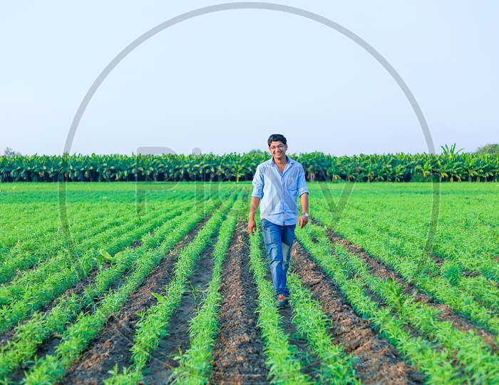 Indian Young Man In Agricultural Field