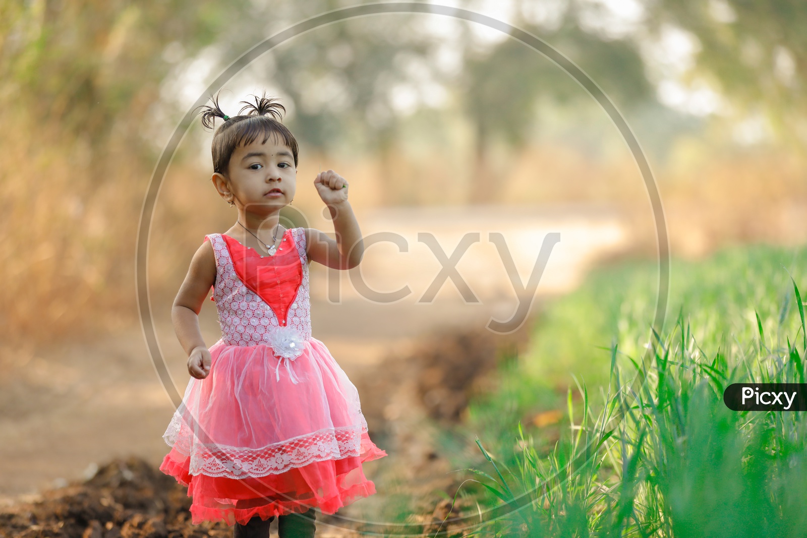 Indian Cute Girl Child Wearing Frock Playing in Paddy Fields