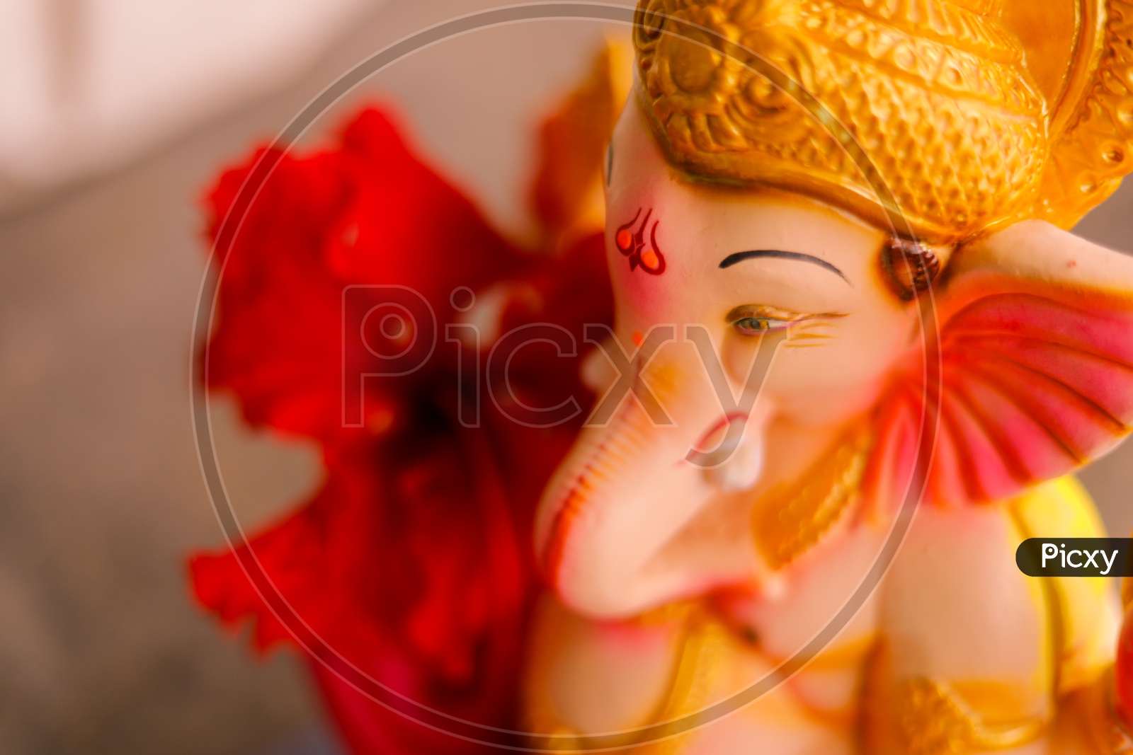 Close up shot of Lord Ganesha / Ganesh Idol