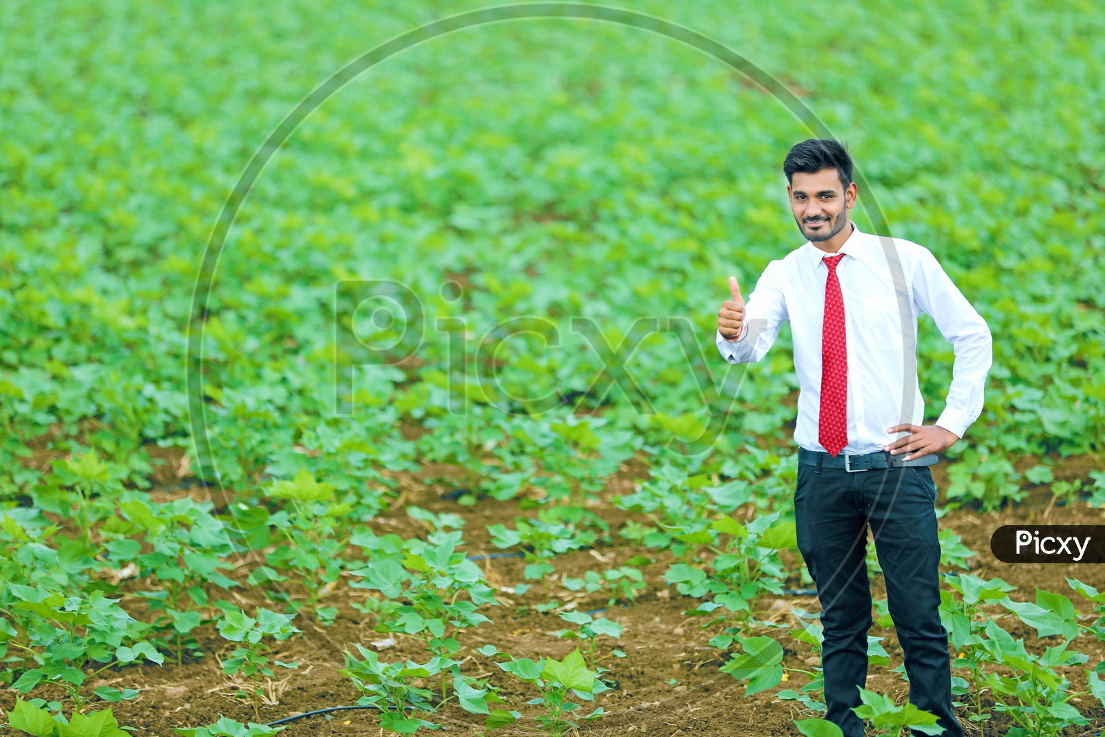 A Young Professional In Agricultural Field With an Expression