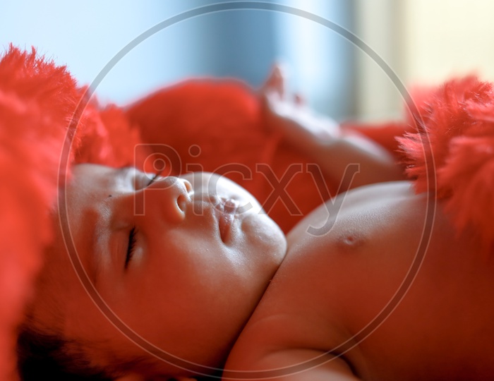 Indian Cute Baby Sleeping With A Cute  Expression on Face Closeup Shot