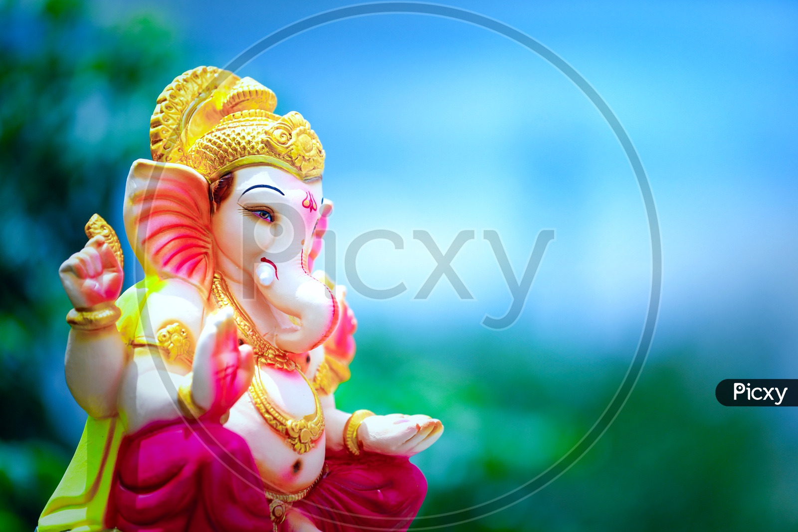 Close up shot of Lord Ganesh Idol / Ganesh Idol