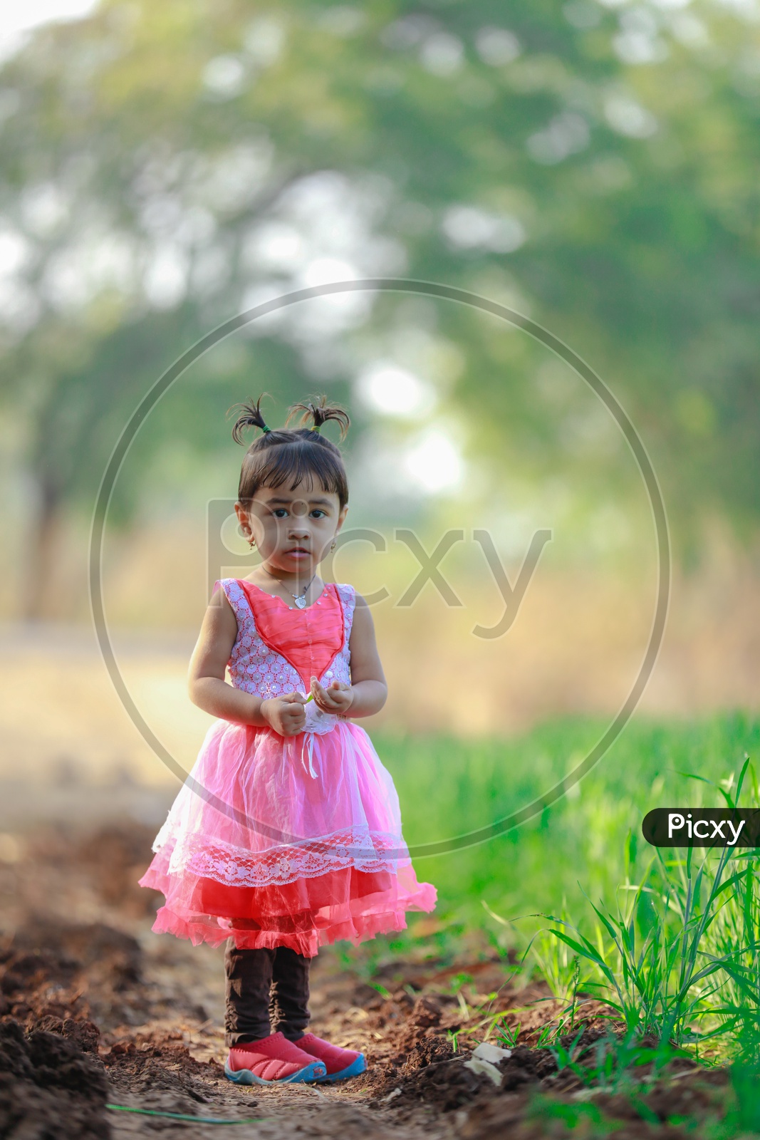 Indian Cute Girl Child Wearing Frock Playing in Paddy Fields  with Expression on face