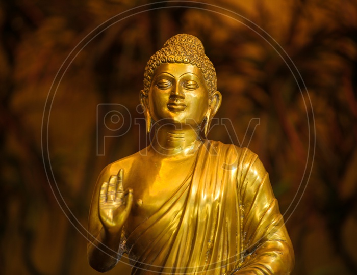 Beautiful Photograph of lord buddha idol