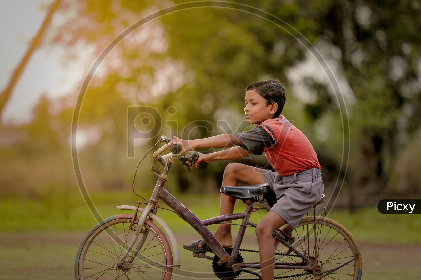 Image of Indian Boy Child Riding Bicycle in Rural India-DW683292-Picxy