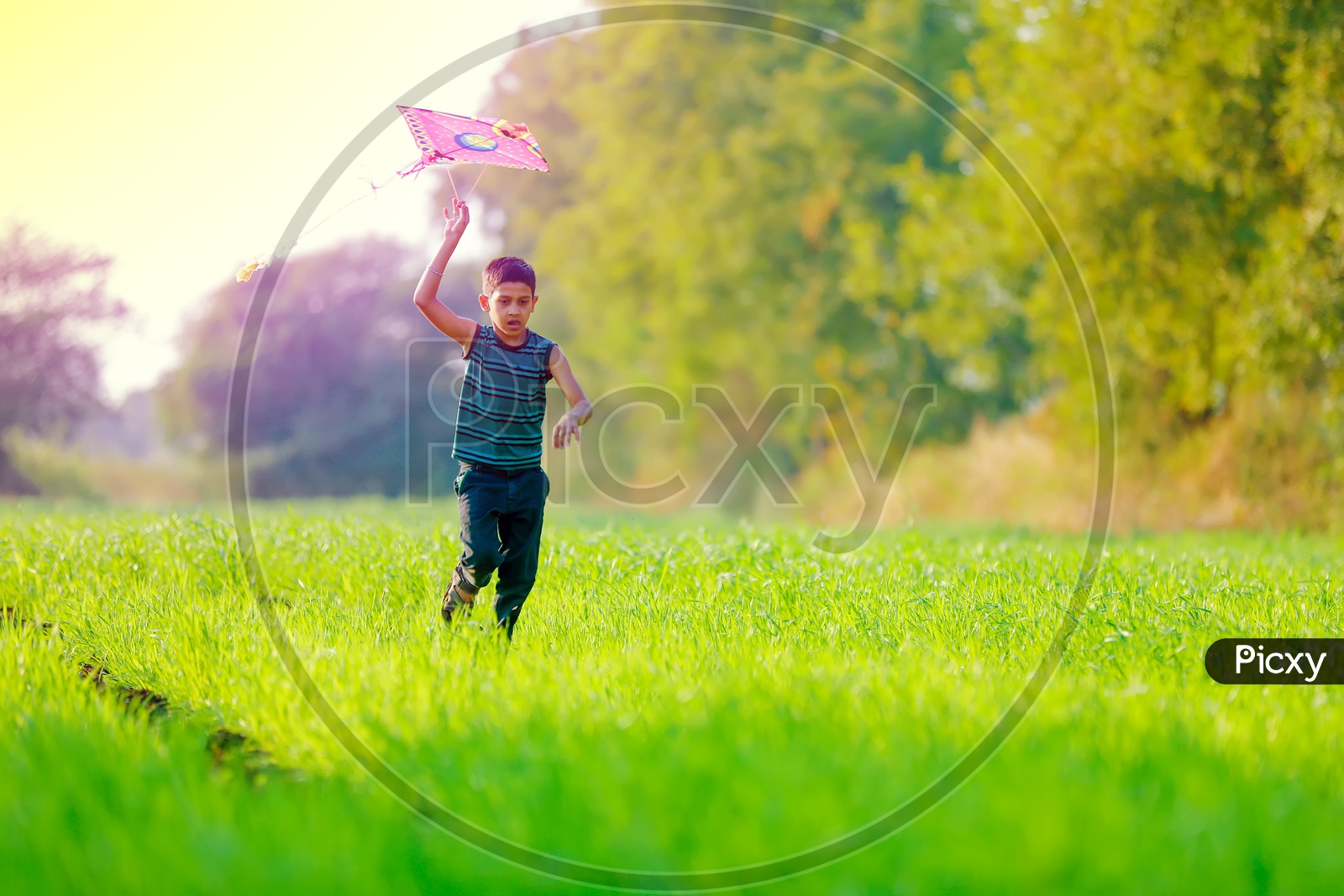 Indian Rural Boy Playing With Kite in Paddy Fields