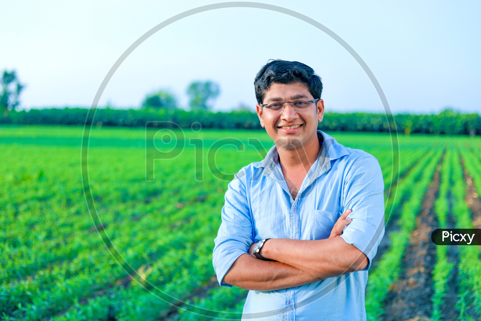 Indian Young Man/Farmer In Agricultural Field