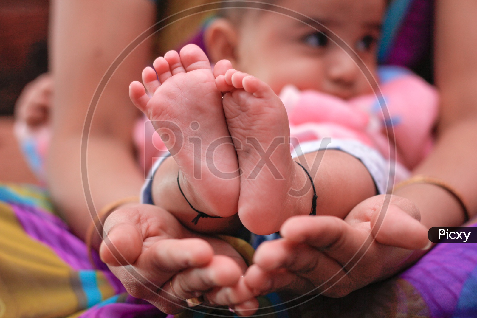 Indian Baby Legs Closeup Shot