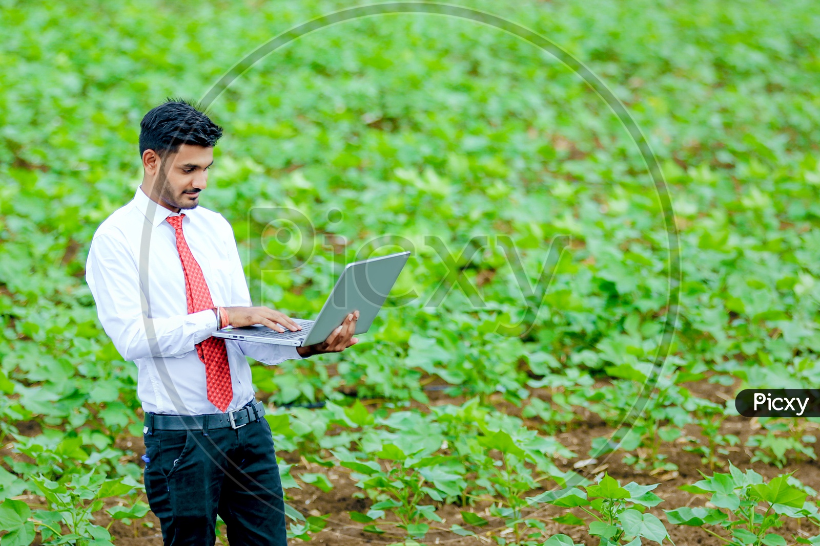 Indian Young Professional with Laptop  In Agricultural Fields