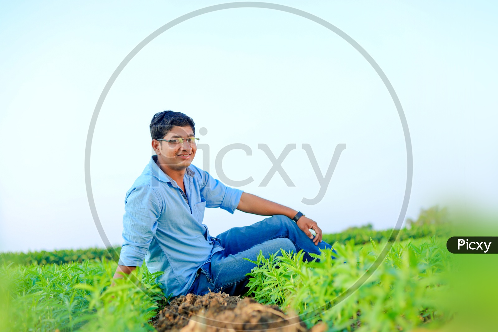 Indian Young Man In Agricultural Field