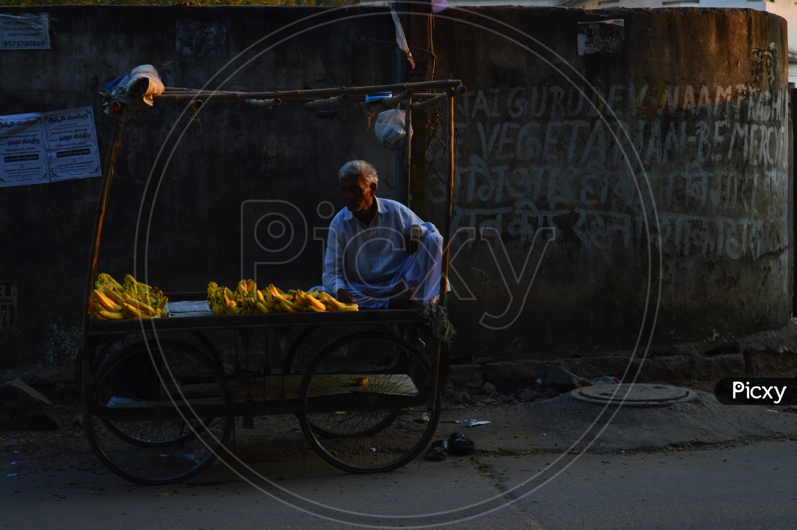 An Old Man Selling Bananas on Road Sides