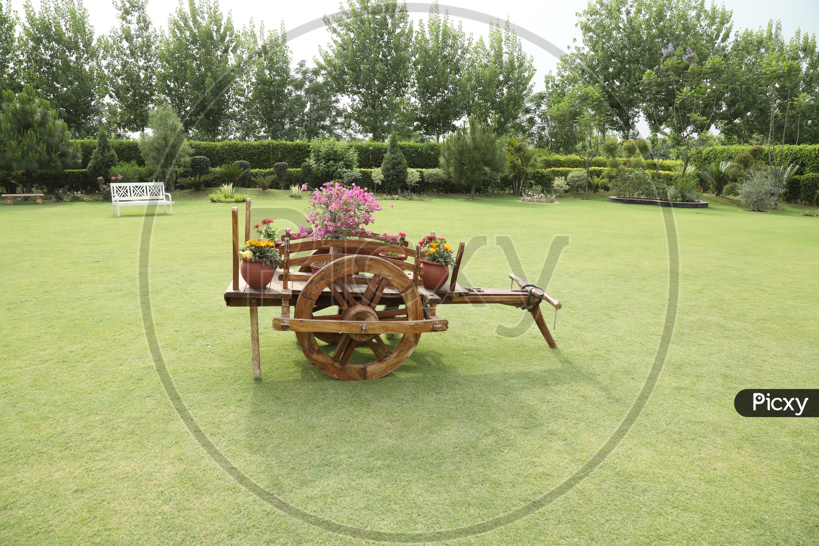 A Model Bullock Cart in a  lawn With Flower pots