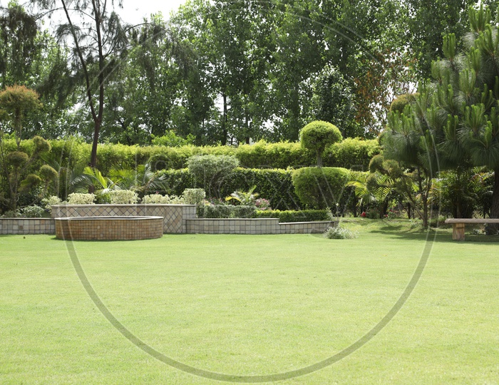 A Lawn Garden With Trees And Plants