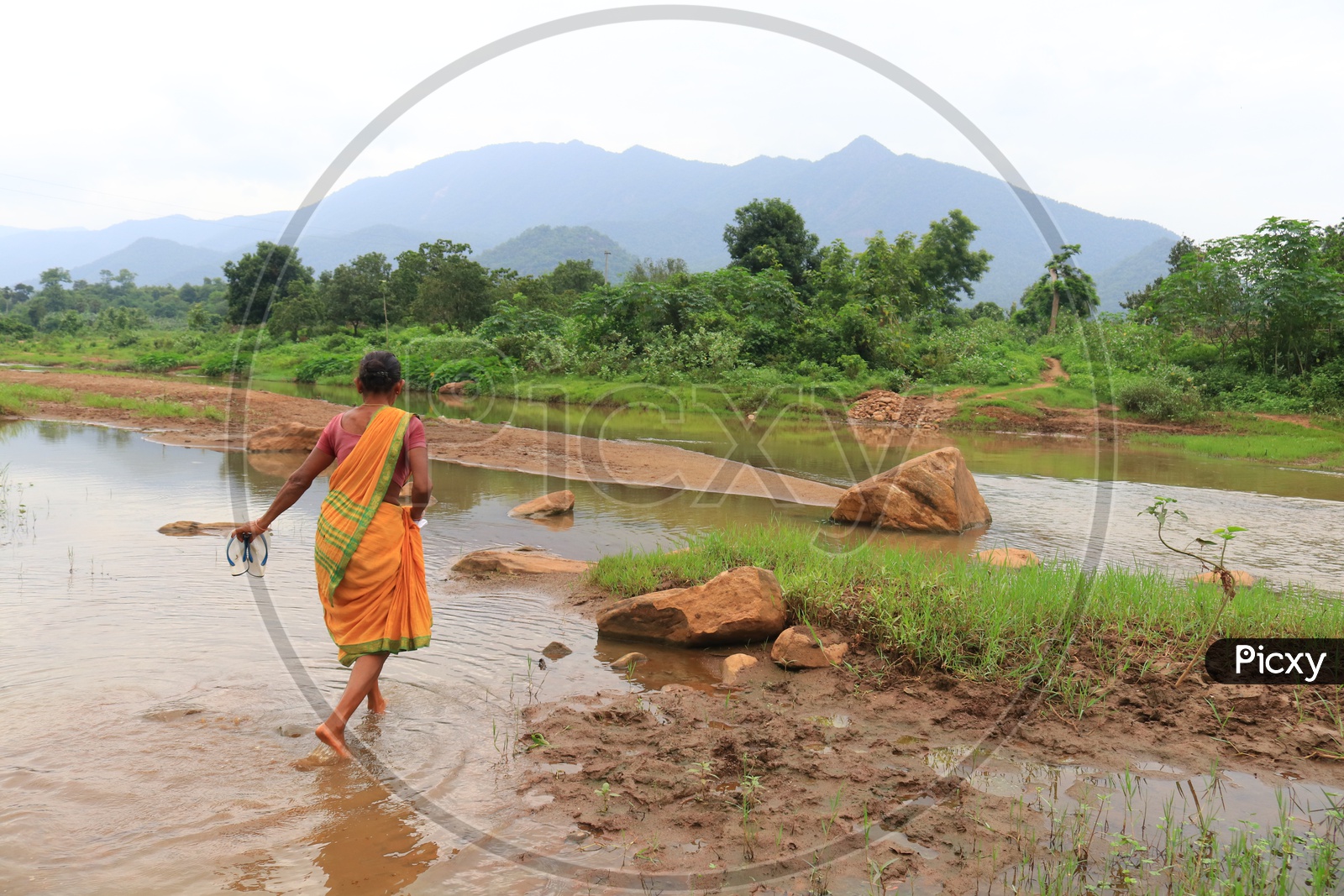 A Woman Crossing A Water Channel In rural Area