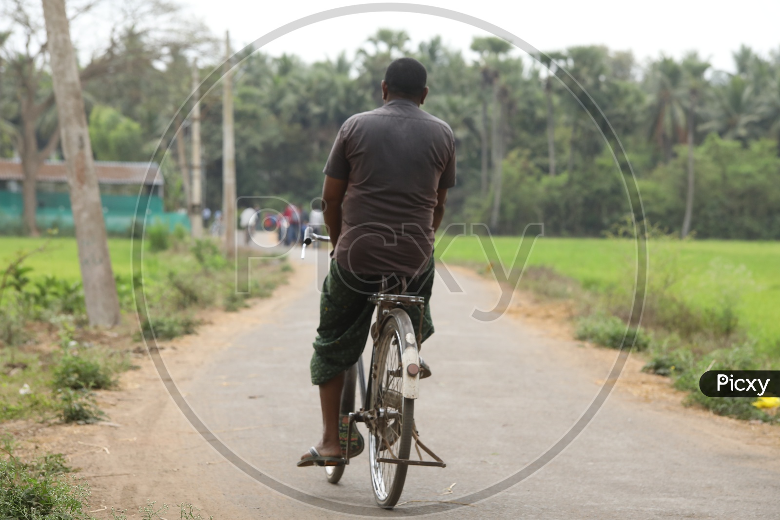 Image of man riding cycle on the road in a village UZ178353 Picxy