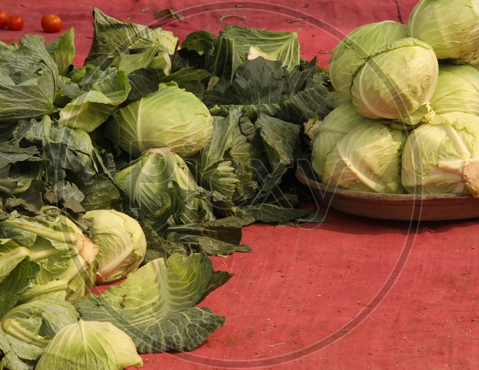 Cabbage Vegetables