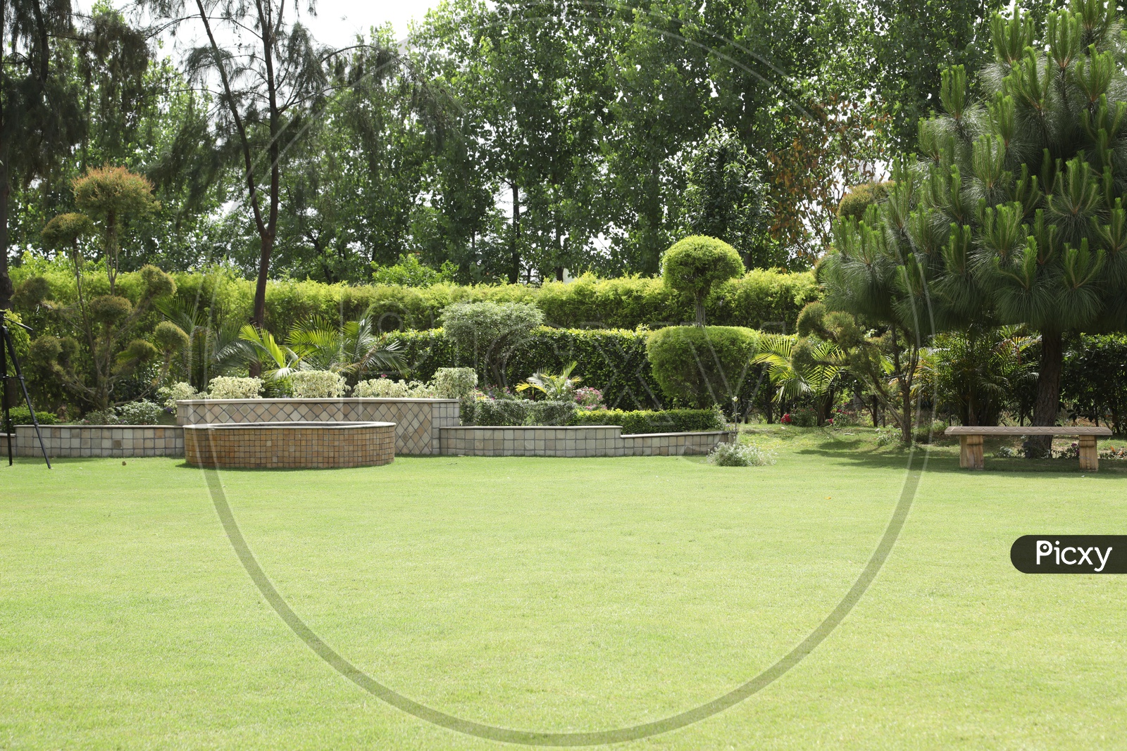 A Lawn Garden With Trees And Plants