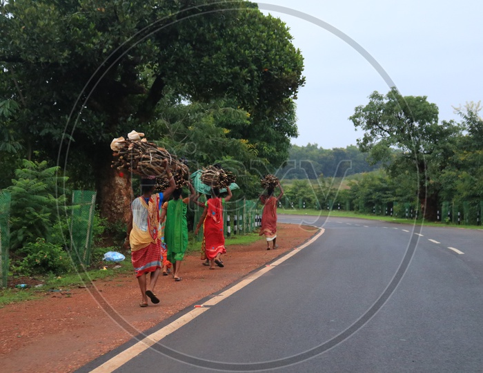Tribal Woman Carrying Wood Bundles on their heads on road sides