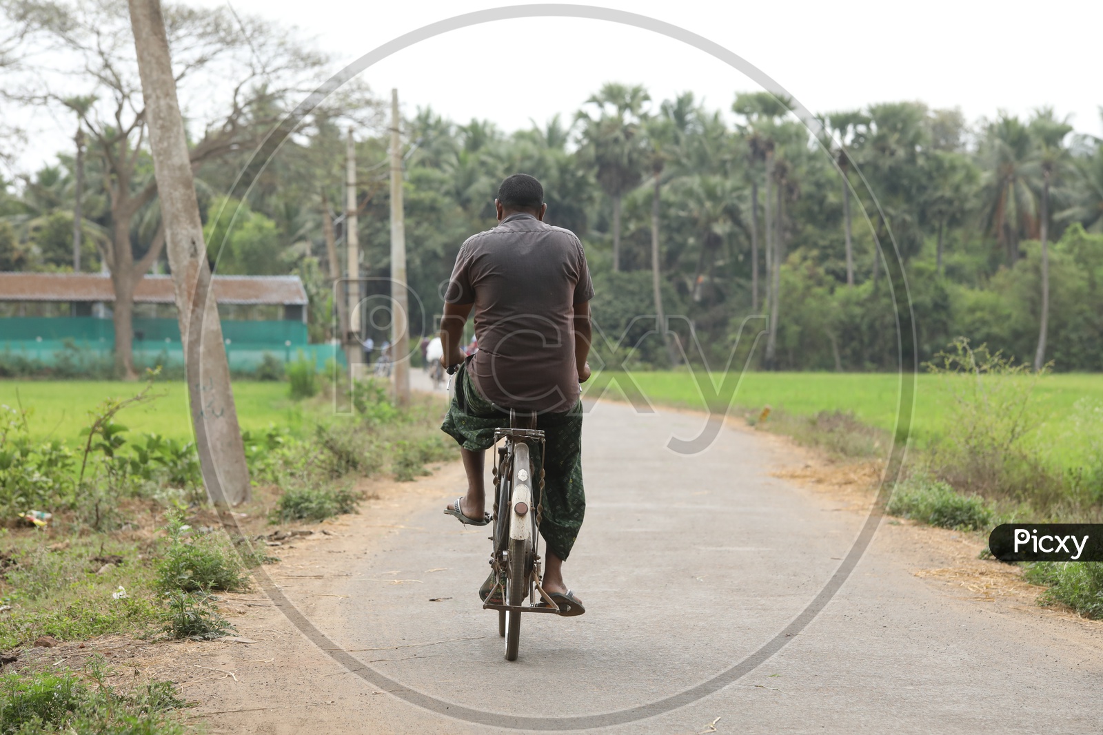 A  Man Cycling On The Roads Of a Village