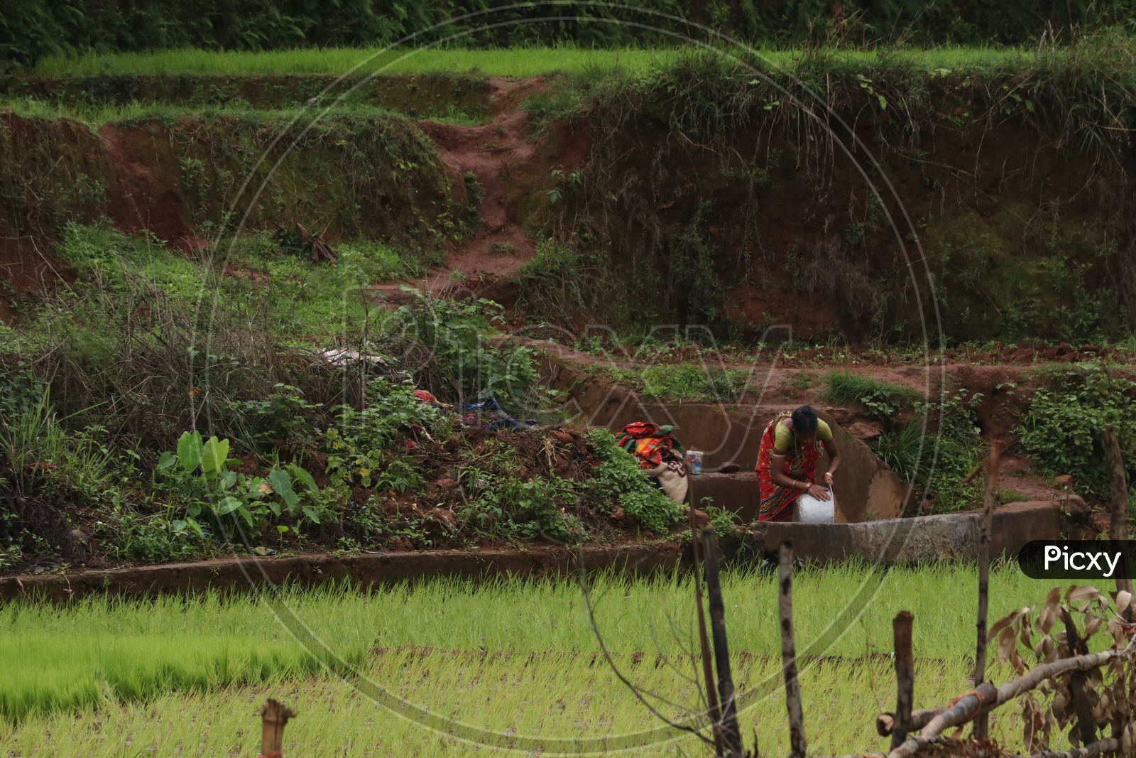 A Woman Washing Clothes by a Agricultural Field in Rural Village