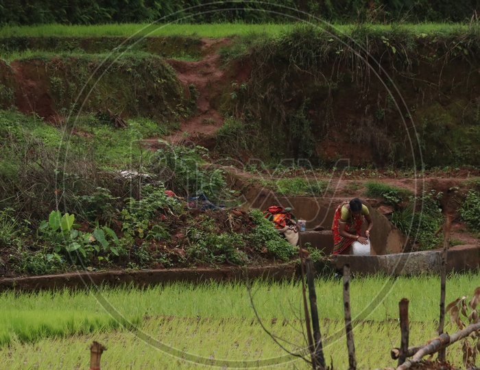 A Woman Washing Clothes by a Agricultural Field in Rural Village