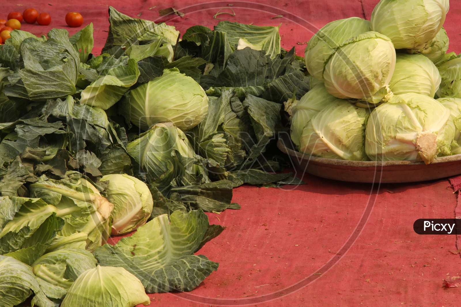 Cabbage Vegetables