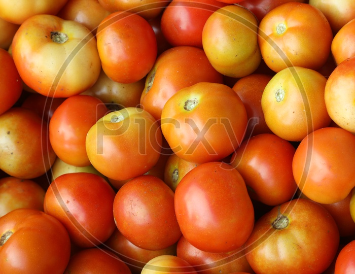 close up shot of red tomatoes