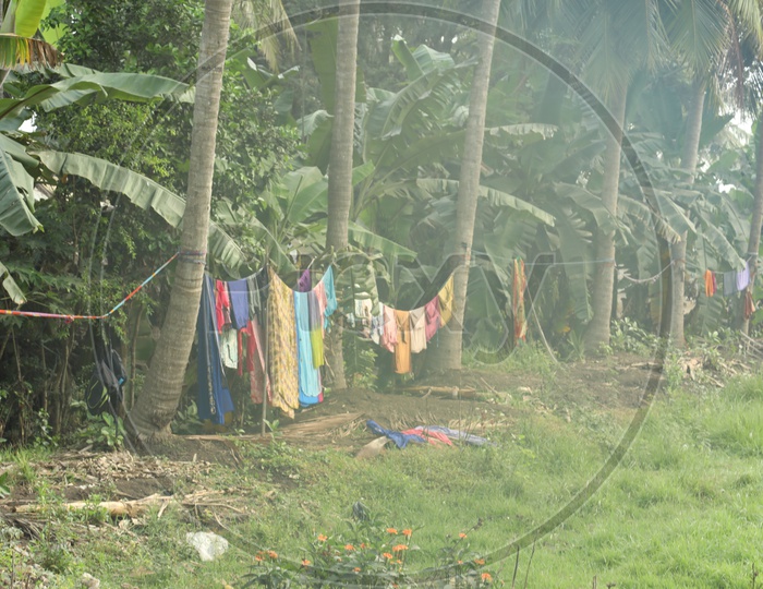 Indian Rural Village People Drying Clothes In a Farm