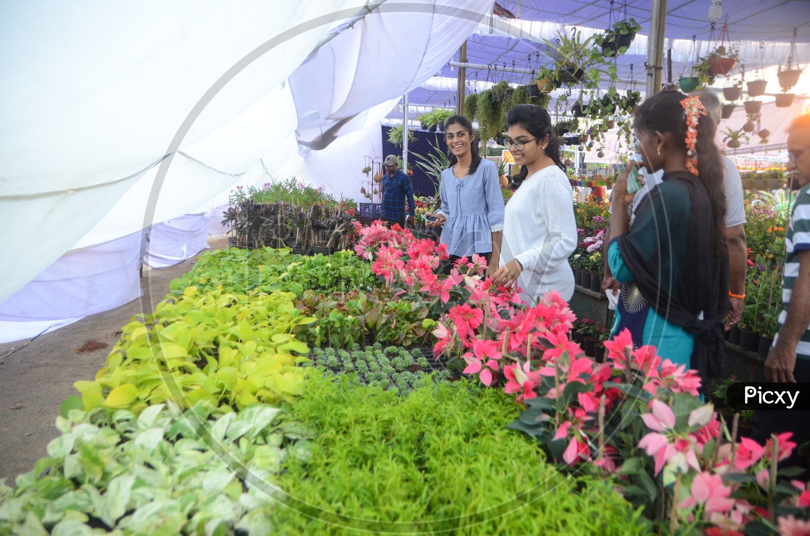 Agri Horticulture and Rose Show 2019